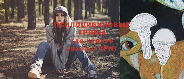 spice Балабаново